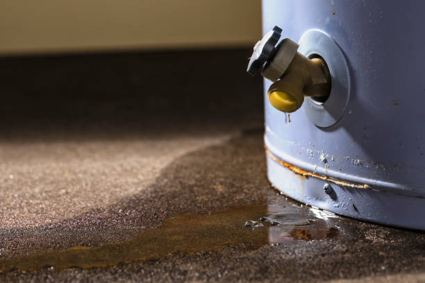 Best Water damage cleanup near me  in Perkins, OK