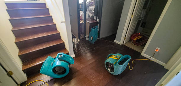 Best Carpet water damage restoration  in Perkins, OK