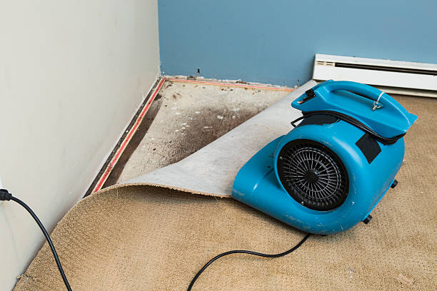 Best 24/7 water damage repair  in Perkins, OK